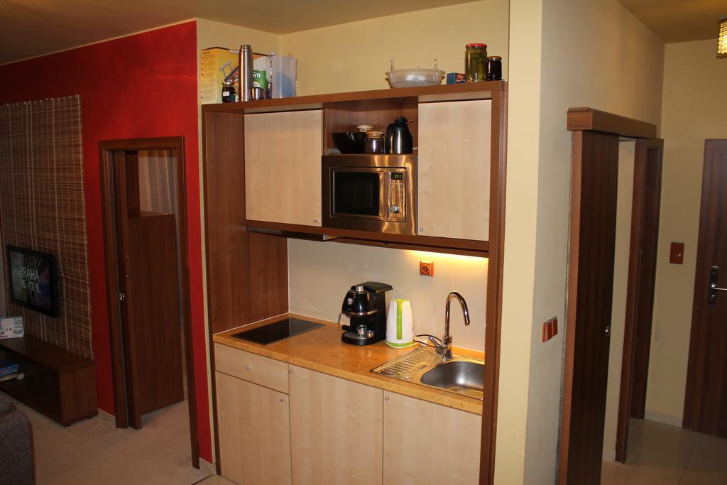 Apartman S Velkou Terasou Luxus Tatry E106 فيلكا لومنيكا المظهر الخارجي الصورة